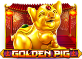 Golden Pig